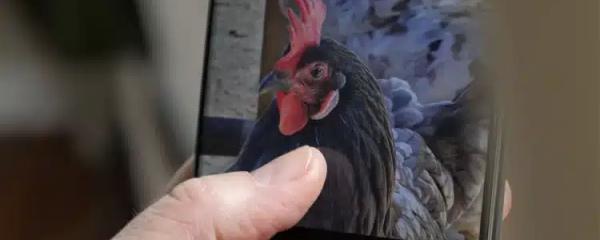 How to separate the subject from the background on a Samsung Galaxy phone