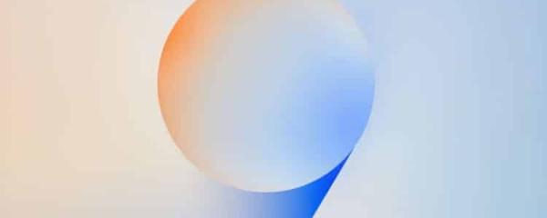 Samsung Already Eyes the Future: One UI 9 Signs Surface Alongside Android 17