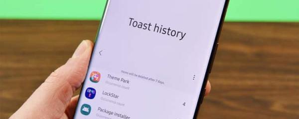 Samsung Music, Nice Catch, and Theme Park are now compatible with One UI 6.0